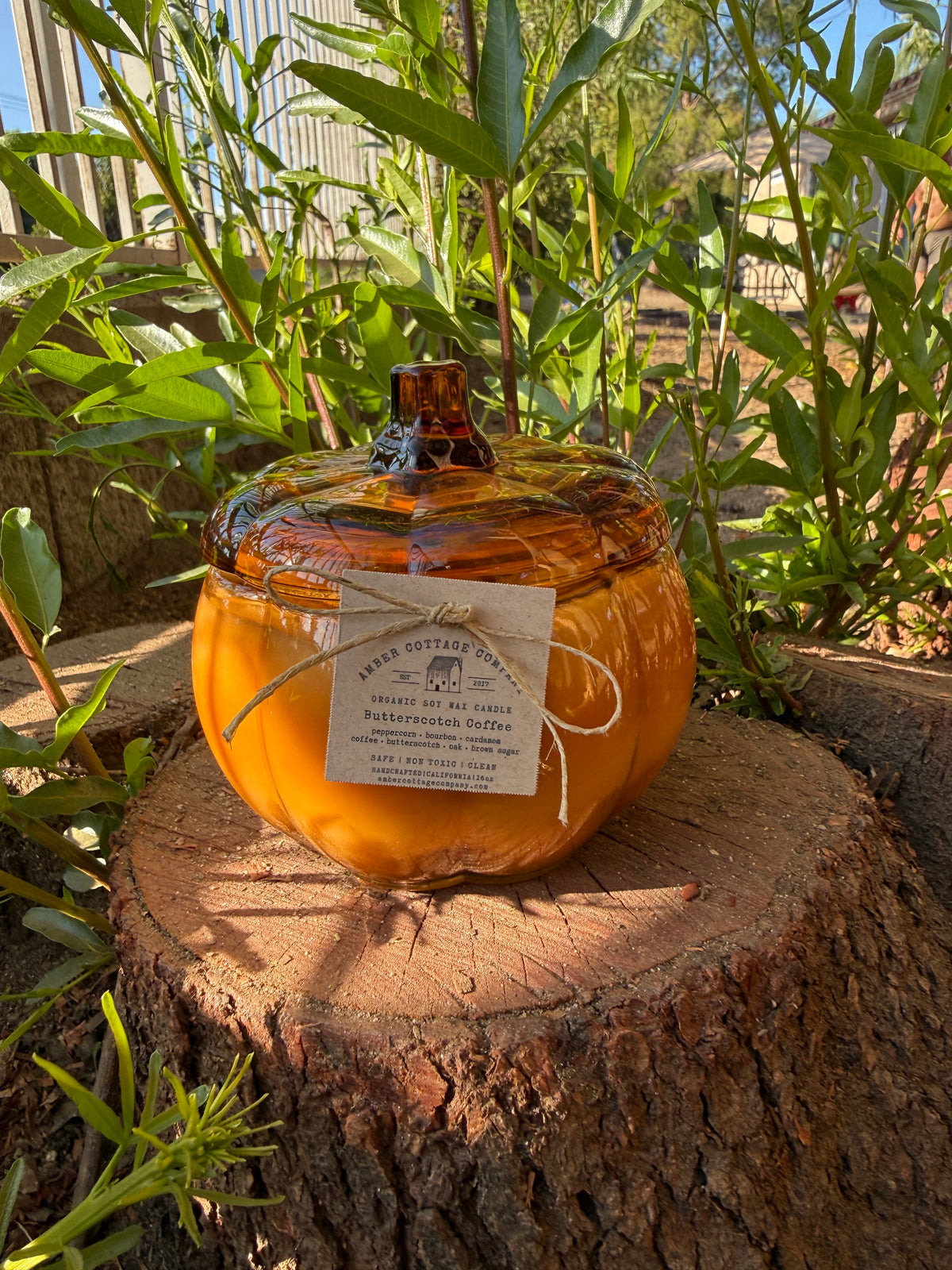 16oz Candles- Fall Collection