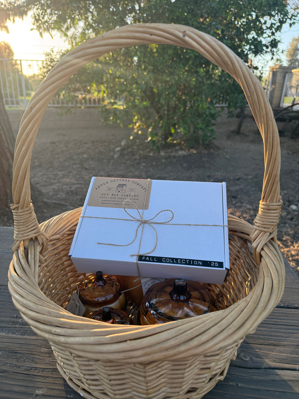 FALL COLLECTION BOX