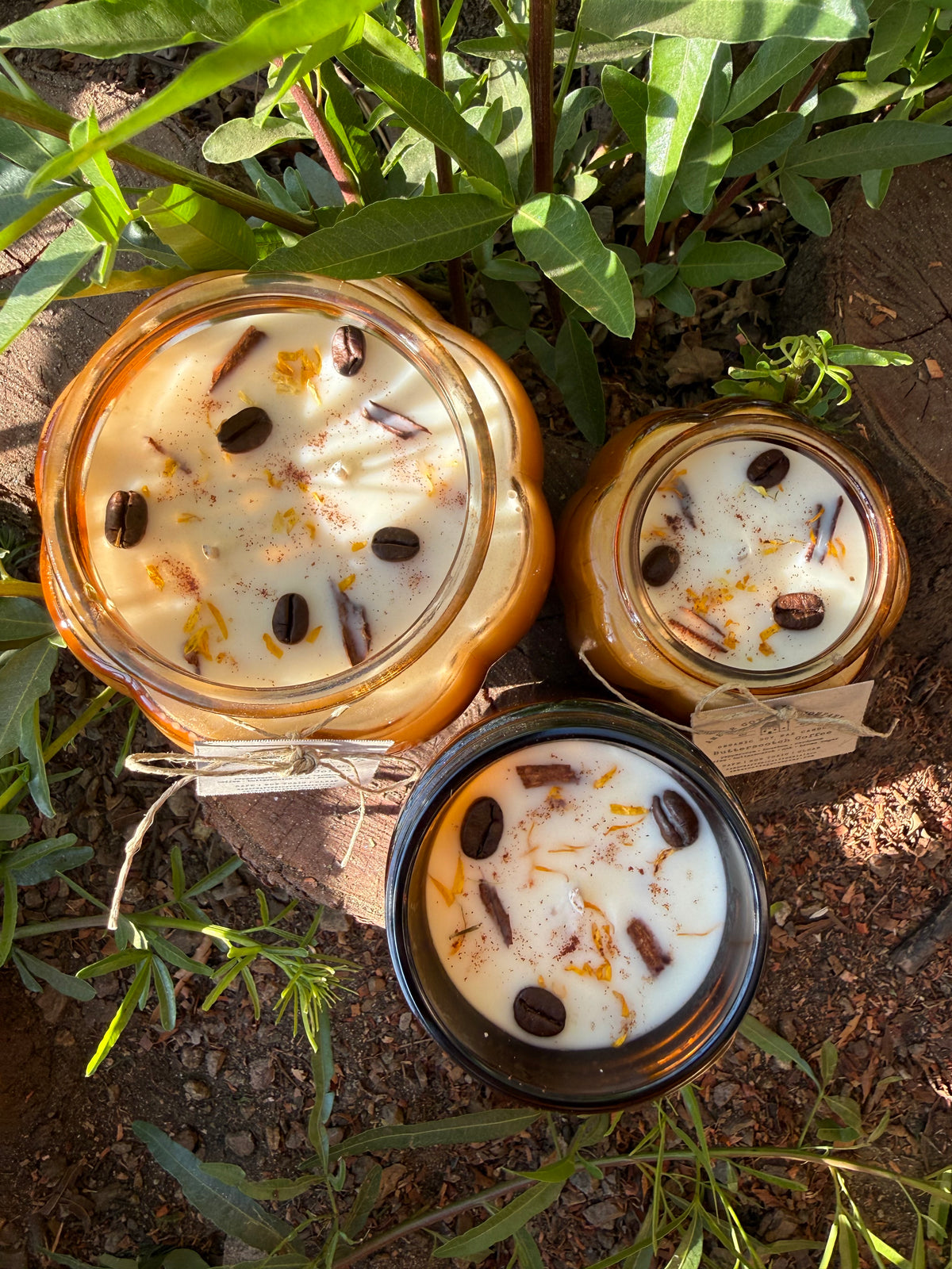 16oz Candles- Fall Collection