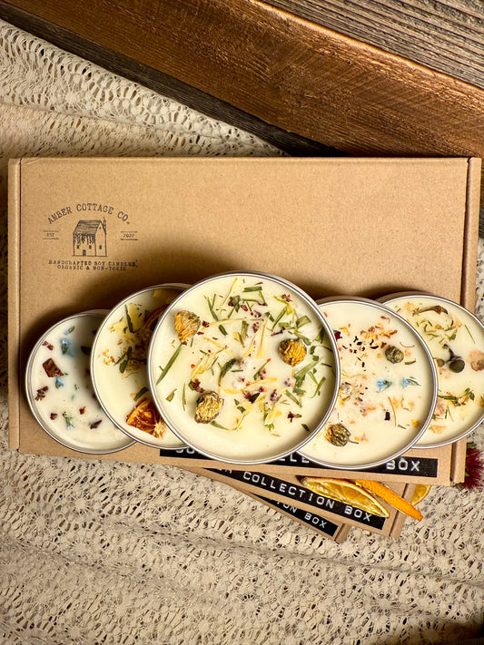 SUMMER COLLECTION BOX