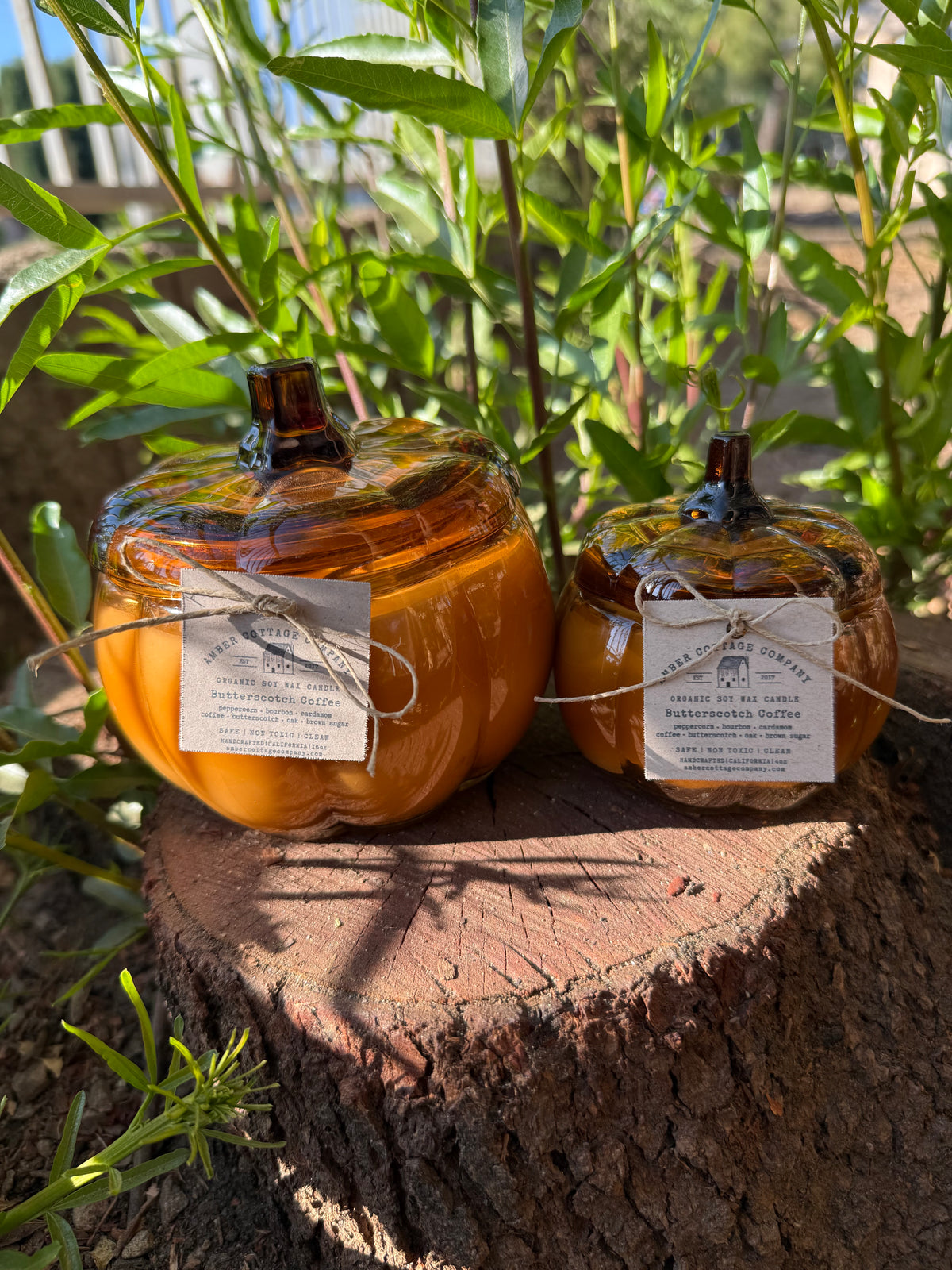 16oz Candles- Fall Collection