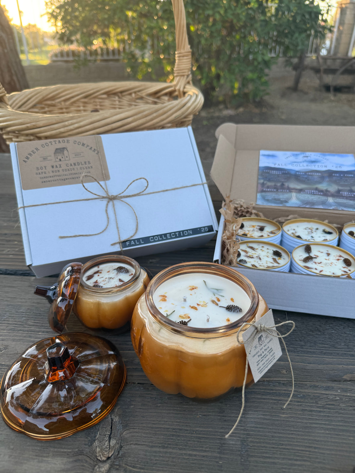 FALL COLLECTION BOX